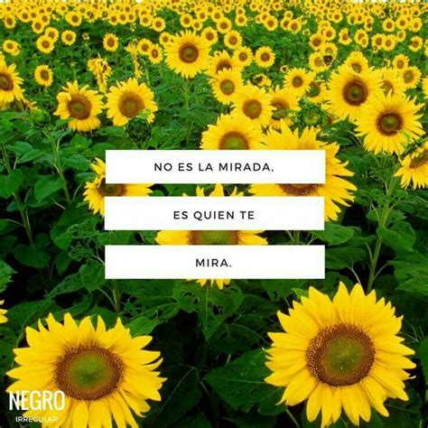 Pin De Gomez Gloria En Girasoles Frases De Amor Libros Frases