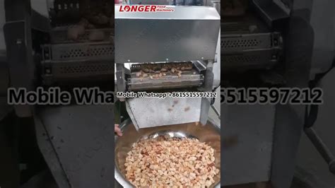 Small Continuous Fryer Conveyor Frying Machine Youtube