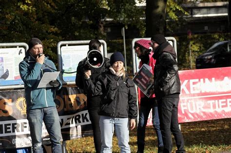 Rosenheim Lautstarke Proteste Gegen Den Circus Krone Wegen Tierschutz