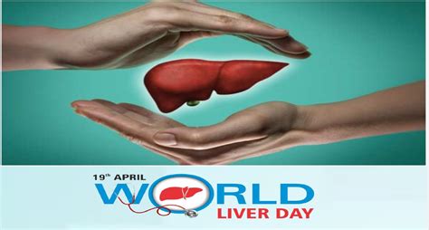 World Liver Day 2022 फिट लिवर के लिए उठाएं सही कदम ऐसे रखें यकृत को