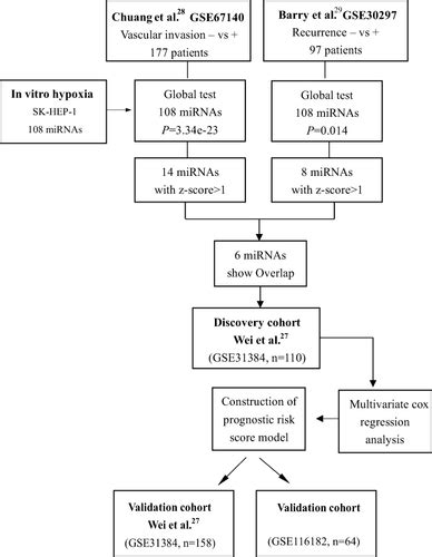 Full Article A Hypoxia Related Mirna Mrna Signature For Predicting The