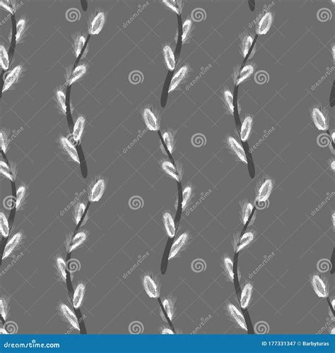 Pussy Willow Vector Seamless Pattern Spring Branches Stock Vector Illustration Of Nature