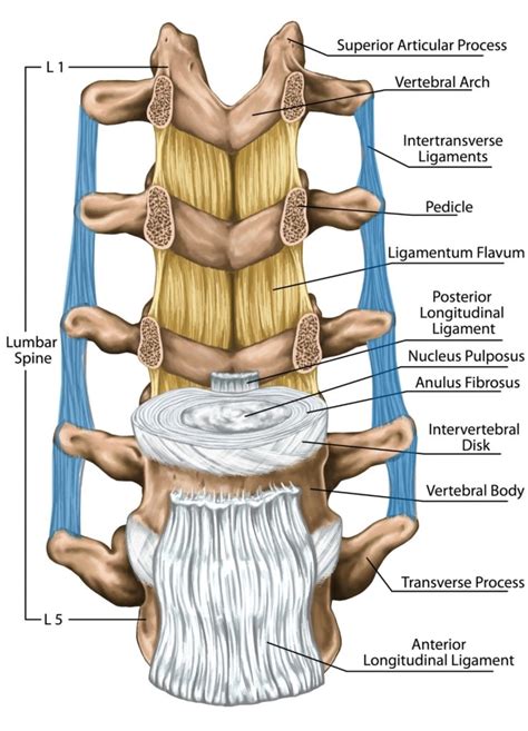 Interspinous Ligament Injection