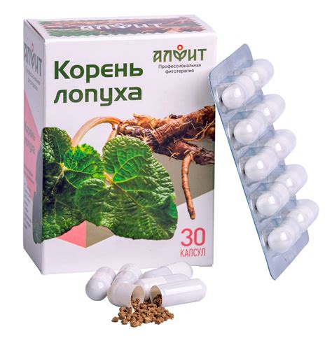 Корень лопуха цена 310 руб, инструкция, описание, полезные свойства ...