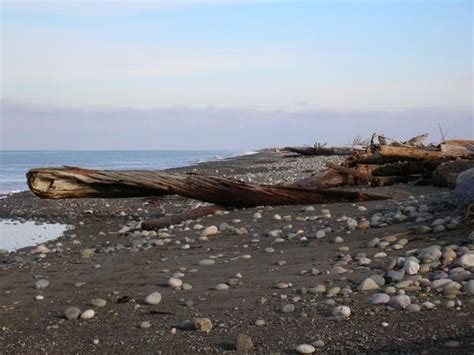 Dungeness National Wildlife Refuge Dungeness Spit Washington Trails