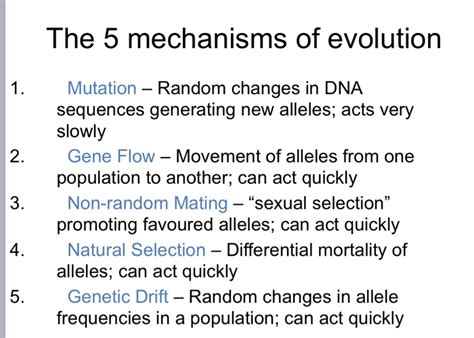 Mechanisms Of Evolution 982 Plays Quizizz