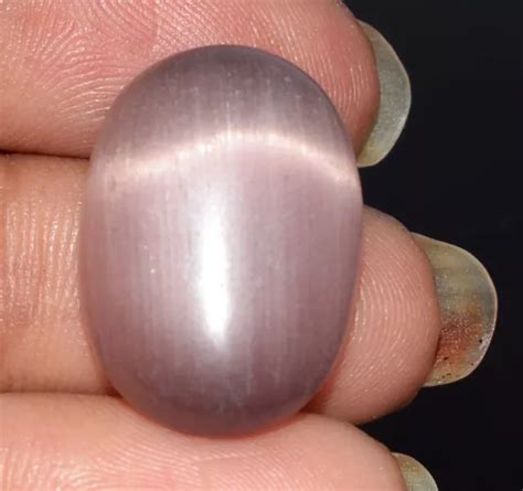 16 65 KT VIOLA Di Gatto Occhio Sfuso Gemma Ovale Cabochon Naturale