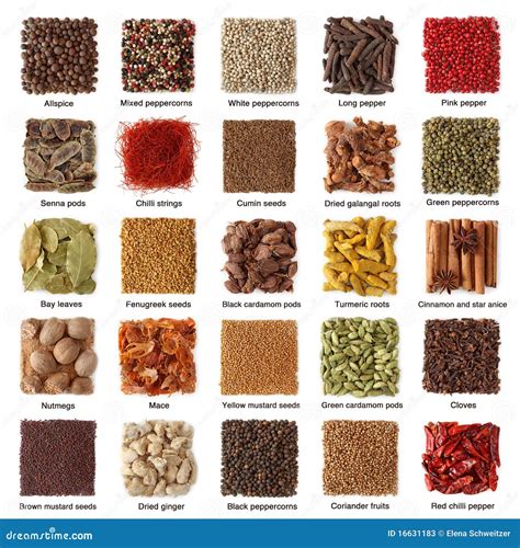 Indian Spices Collection Royalty-Free Stock Photography | CartoonDealer
