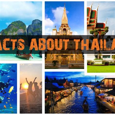 Find The Best Places For Snorkeling In Thailand Colossal Vacation