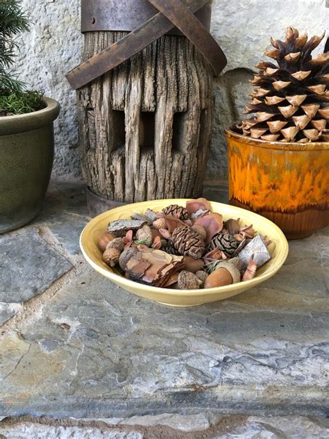 Woodland Potpourri Potpourri Woodland Bowl Filler Etsy