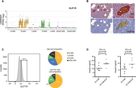 Single Cell Transcriptome Profiling Of Human Pancreatic Islets In