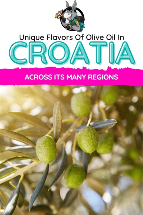 Flavors Of Croatian Olive Oil Across Its Regions | Chasing the Donkey