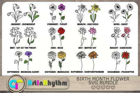 Birth Month Flower Svg Bundle Flowers Svg Wildflowers Svg