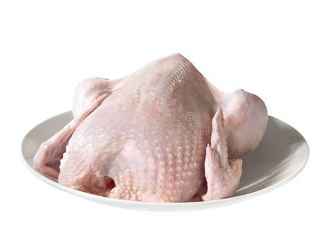 Uncooked chicken stock image. Image of cooking, delicious - 17555047