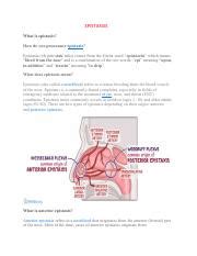 Understanding Epistaxis Causes And Types Explained Course Hero