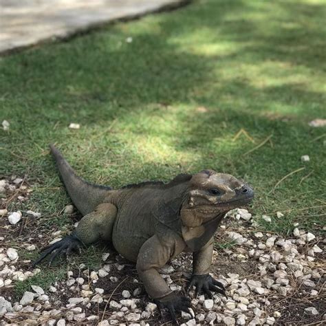 Acuario Nacional De La República Dominicana Destinos Rd