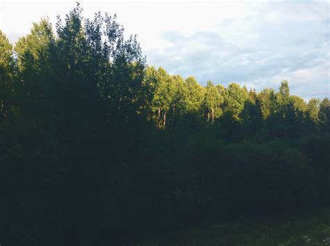 Free Images Images Cloud Sky Plant Community Natural Landscape