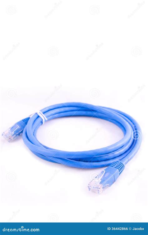 Network Cable Patch Cord Stock Photo Image Of Ports 36442866