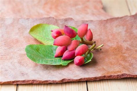 Tasty Raw Red Pistachio Nuts with Green Leaves on Tree Rind Background ...