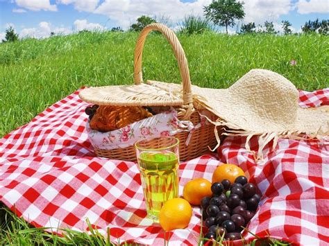 Организиране на пикници - Комплекс Старата Тонина къща - Добринище ...