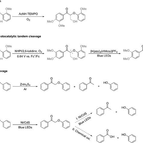 Reported Oxidation And Cleavage Strategies Of Lignin Model Compounds