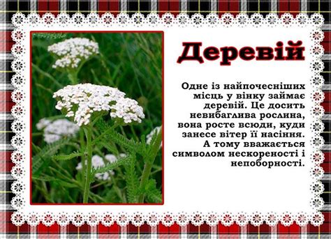 Пізнайки