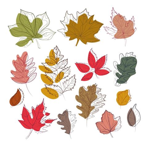 Premium Vector | Autumn leaves set abstract art drawing isolated vector ...