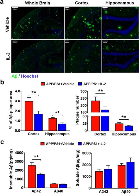 Low Dose Il 2 Treatment Decreases Amyloid Pathology In App Ps1 Mice A