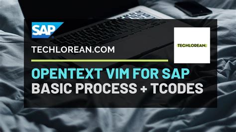 Opentext Vim For Sap Basic Process And Tcodes Ocr E Invoicing Icc