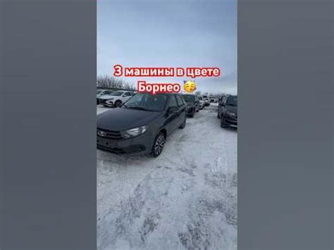 Ну наконец то появился цвет Борнео 🙉🥳🥳🥳 #lada #лада #ладагранта # ...