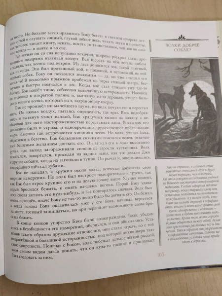 Книга: Зов предков - Джек Лондон. Купить книгу, читать рецензии | Лабиринт