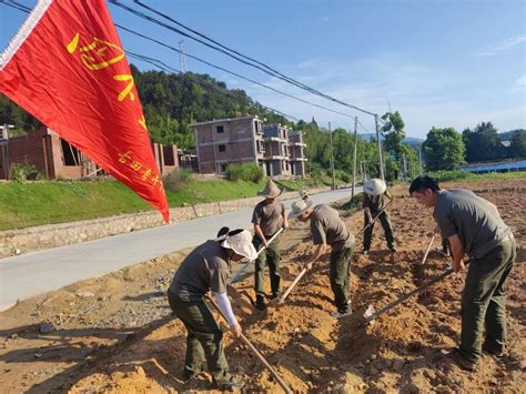 【青年干部“四下基层”实践锻炼】田间地头忙农耕 乡村振兴谋良策澎湃号·政务澎湃新闻 The Paper