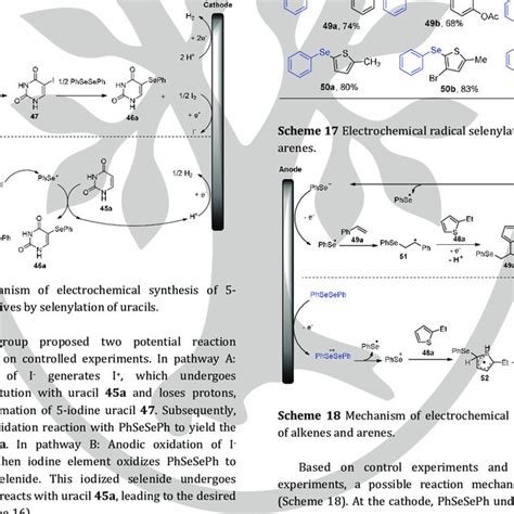 Scheme Mechanism Of Electrochemical Selenium Catalyzed N