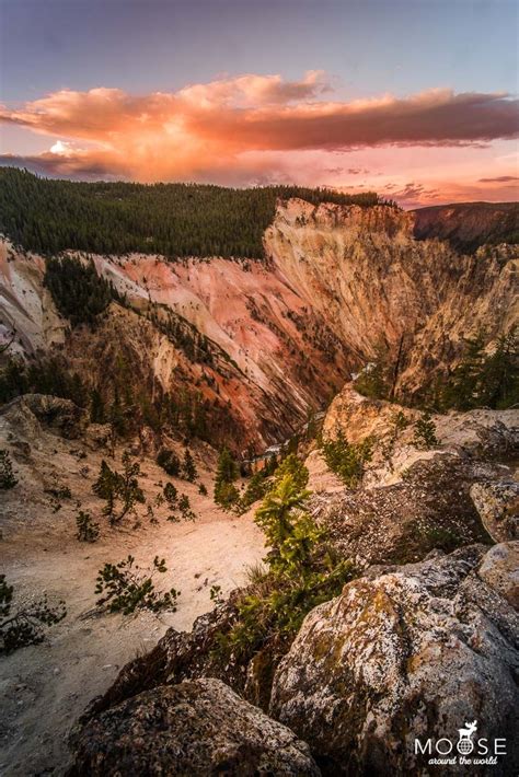 Tipps F R Den Yellowstone Nationalpark In Den Usa Nationalpark