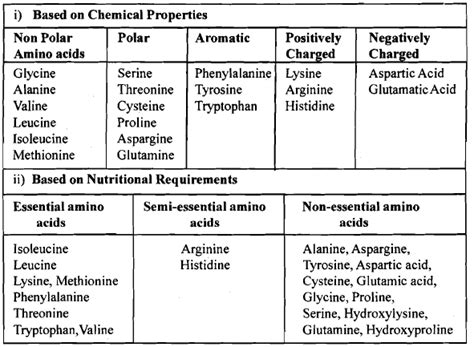 Amino Acids Classification