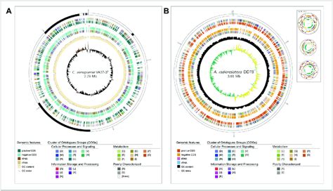 Application Of Genovi Using A Draft Or Complete Bacterial Genome A