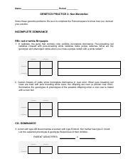 Katlyn Castillo Geneticsproblems Pdf Name Period Genetics Practice