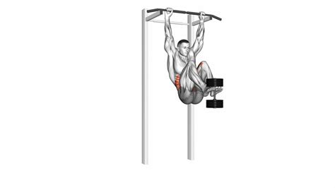 Weighted Hanging Leg Hip Raise Ultimate Exercise Guide Tips