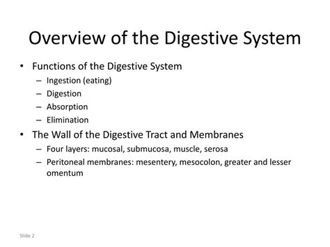 Ppt Chapter 23 Digestive System Powerpoint Presentation Free