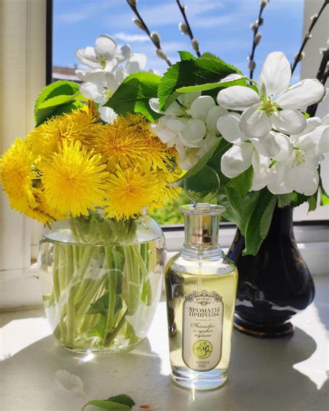 Антоновка и луговая клубника - Antonovka and Wild Strawberry Brocard ...