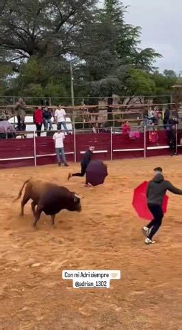 Paraguas Gallegos Arga An Toros Bravos Shorts Youtube