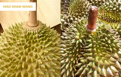 Ways To Tell Your Mao Shan Wang Durian Is The Real Deal