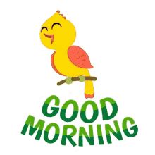 Good Morning Team Gif - GIFcen