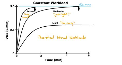 At A True Vo2 Max What Happens To Heart Rate And O2 Consumption ...