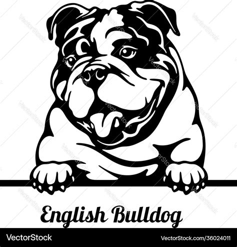 Bulldog Pup Vector Images (over 1,200)