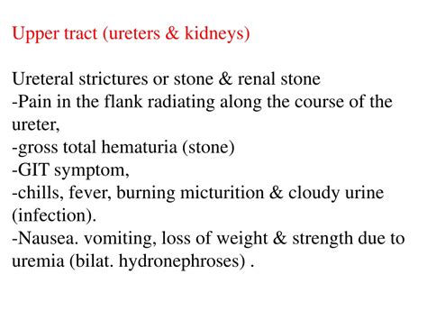 Ppt Urinary Tract Obstruction Powerpoint Presentation Free Download Id 9335440