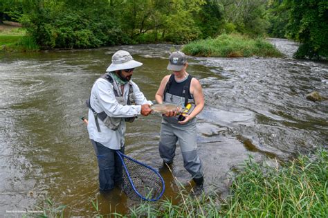 Pheromones and Fly Fishing in Spruce Creek Pennsylvania - Kathryn Anywhere