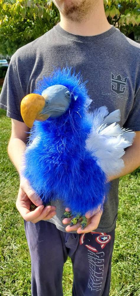 Dodo Bird Art Doll Dodo Figurine Soft Sculpture Dodo Bird - Etsy