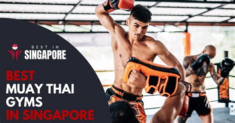 10 Best Muay Thai Singapore Gyms For Training [2025] Bestinsingapore