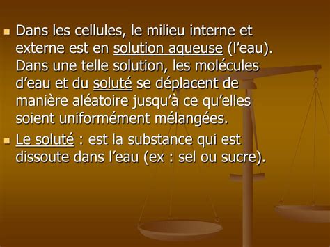 Ppt Lhom Ostasie Et La Membrane Plasmique Powerpoint Presentation